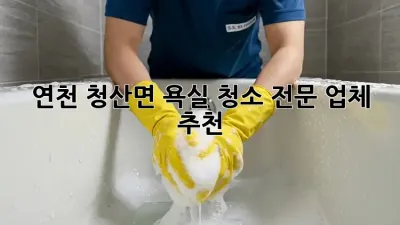 연천 청산면 욕실 청소 전문 업체 추천
