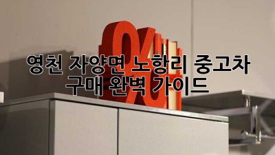 영천 자양면 노항리 중고차 구매 완벽 가이드