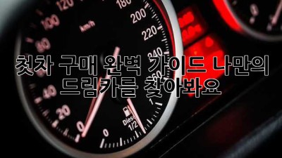 첫차 구매 완벽 가이드: 나만의 드림카를 찾아봐요!