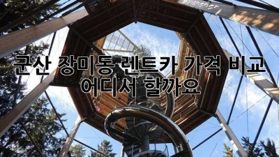 군산 장미동 렌트카 가격 비교, 어디서 할까요?